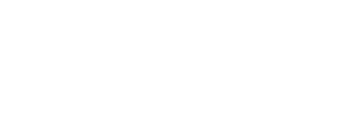 shopify logo in white