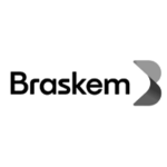 braskem b2b adobe commerce development